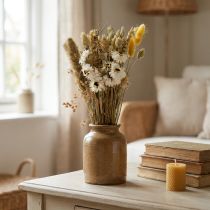 Prodotto Mazzo di fiori secchi fiori di paglia Phalaris bianco giallo 30 cm