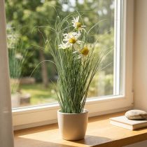 Prodotto Erba con echinacea artificiale in un vaso bianco 56 cm