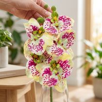 Prodotto Ramo di orchidea artificiale Phaelaenopsis verde rosa H49cm