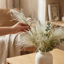 Prodotto Fiori secchi deco piuma erba erba secca natura 50g