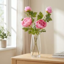 Prodotto Rose artificiali Peonie artificiali in rosa L80cm 2pz