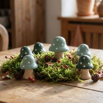 Prodotto Funghi In Legno Funghi Decorativi Mini Funghi Funghi In Legno Verde Menta 4cm 12 pz