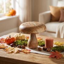 Prodotto Decorazione di funghi in legno decorazione di funghi in legno decorazione autunnale naturale Ø15cm H14,5cm