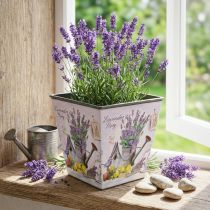 Prodotto Portavaso motivo lavanda, vaso decorativo quadrato, cachepot in plastica H13cm L13,5cm