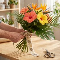 Prodotto Nastro decorativo foglie tropicali nastro di cotone marrone 30mm 15m