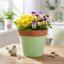 Prodotto Nastro in feltro per vasi verde chiaro 15 cm 5 m