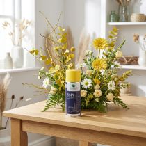 Prodotto OASIS® Easy vernice spray, vernice spray giallo 400ml