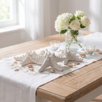 Prodotto Decorazione stella marina grande stella marina essiccata bianca tempestata 15-18 cm 10 pezzi