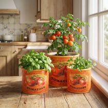Prodotto Set di vasi Motivo pomodoro Vasi in ceramica decorativi per arredamento retrò e piante 14 cm, set da 3