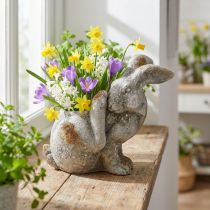 Prodotto Vaso decorativo in cemento Rabbit grigio antico 33,5x17x29,5cm