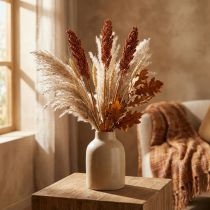 Prodotto Fiori Secchi Sorgo Miglio Arancio Fiori Secchi 70cm 3pz