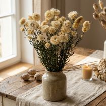 Prodotto Decorazione a secco fiori di paglia crema elicriso essiccato 50cm 30g