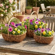 Prodotto Cestino per piante cesto intrecciato con manico naturale 33/28/22 cm set da 3
