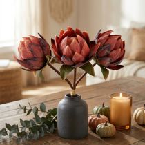 Prodotto Fiori artificiali decorativi Protea rosso-arancio 34 cm 3 pezzi