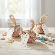 Prodotto Conchiglie decorative marittime miste in una rete, colorate, 3,5-6 cm, 300 g × 3 pezzi