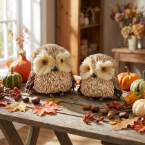 Prodotto Figure decorative gufo autunno con coni 12,5×10×10 cm 2 pz