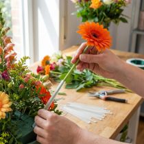 Prodotto Sezioni di tubo Gerbera 19mm, 1000 pz