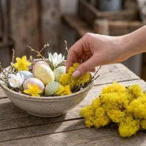 Prodotto Muschio di renna giallo muschio Deco per artigianato giallo limone 500 g