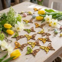 Prodotto Decorazione a dispersione farfalle in legno verde/giallo/arancio 3×4 cm 24 pz