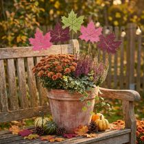Prodotto Paletto da giardino d'autunno in legno di foglia d'acero L9,5 cm L31 cm 12 pezzi