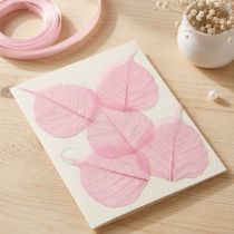 Prodotto Foglie scheletriche, foglie decorative di salice rosa 5-9 cm, 200 pezzi - Ideali per biglietti di auguri e fai da te