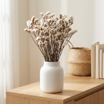 Prodotto Fiori secchi di lavanda di mare bianca (Limonium), 60 cm, 35 g