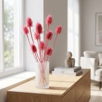 Prodotto Decorazione di cardo selvatico essiccato, cardi rosa, 53 cm, 10 teste