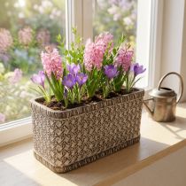 Prodotto Fioriera Fioriera Ciotola in ceramica Marrone, Bianco 23×11×11cm
