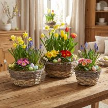 Prodotto Set di cestini per piante bianchi shabby chic, cestino naturale per decorazioni pasquali con manici Ø28/24/19 cm, cestini decorativi lavati