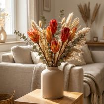 Prodotto Repen Rosso 25 pz
