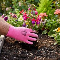 Prodotto Guanti da giardino Kixx taglia 8 rosa, rosa