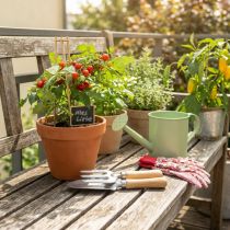 Prodotto Set di attrezzi da giardino con rastrello a mano in acciaio inox, pala a mano e picchetti da giardino, idea regalo per gli amanti del giardino