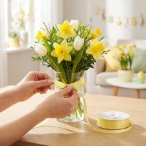 Prodotto Nastro decorativo, nastro in taffetà, nastro regalo, giallo chiaro, 10 mm, 50 m