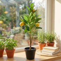 Prodotto Albero di limone artificiale in vaso, decorazione mediterranea, pianta di limone artificiale, H58cm