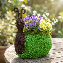 Prodotto Fioriera Lumaca Vite Naturale, Verde 21x14cm H26cm