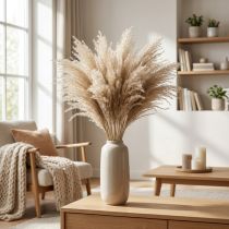 Prodotto Erba secca Miscanthus 55-75 cm erba piuma naturale 100 pz