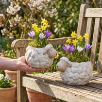 Prodotto Fioriera in ceramica a forma di pecora, ciotola decorativa per piante da giardino e da casa, 2 pezzi