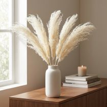 Prodotto Asparagi ornamentali secchi Erbe colore crema 90cm 5pz