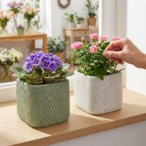 Prodotto Fioriera in ceramica bianco verde rete a rilievo 12,5x12,5cm H9cm 2pz