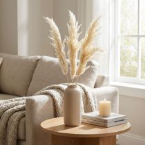 Prodotto Erba di pampa decorativa crema erba secca sbiancata 95 cm 3 pz
