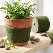 Prodotto Nastro in feltro Franzi pot nastro in lana feltro di lana verde scuro 15 cm 4 m