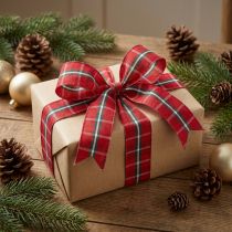Prodotto Nastro rustico a quadri in rosso per decorazioni festive, largo 25 mm, lungo 15 m