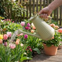 Prodotto Annaffiatoio da 9 litri in verde oliva con rosa rimovibile, pratico per la cura del giardino e dei fiori, robusto, 42 cm