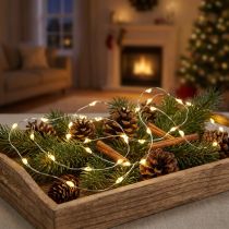 Prodotto Catena luminosa Filo luminoso a LED con batterie bianco caldo 100 1,59 m