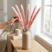 Prodotto Decorazione naturale con fiori secchi di erba della pampa rosa 65-75 cm 6 pezzi
