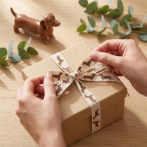 Prodotto Nastro regalo con motivo a bassotto per lavori fai da te e artigianato, 15 mm x 18 m