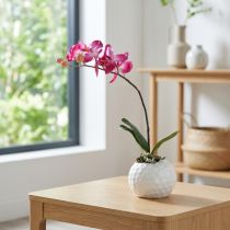 Prodotto Orchidee artificiali in vaso Phalaenopsis fiori artificiali orchidee rosa 34 cm