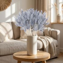Prodotto Lagurus essiccato (Erba coda di lepre) Grigio per bouquet di fiori secchi 60 cm 75 g