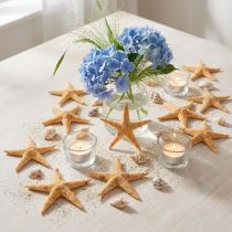 Prodotto Decorazione a dispersione di stelle marine decorazioni per la casa mini stelle marine natura 2-4 cm 50 p