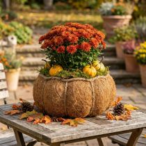 Prodotto Cestino per piante zucca decorazione autunnale arancione Ø22cm H17cm